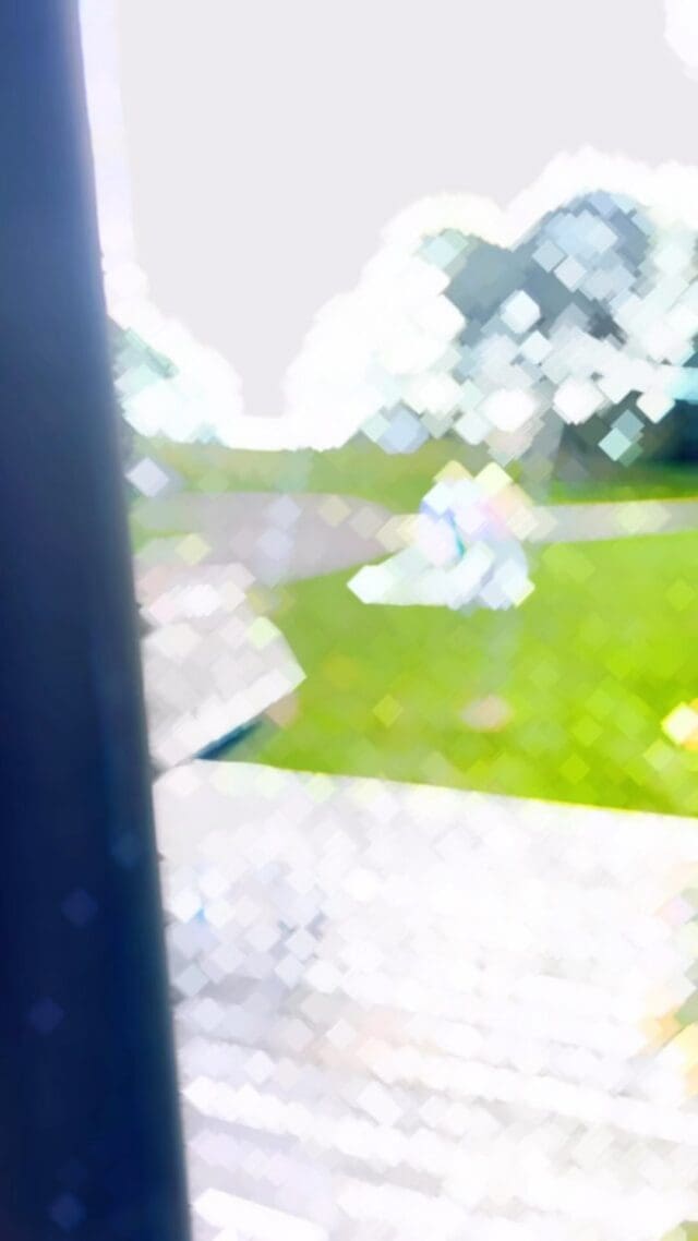 Thursday wedding vibes at @narrowslanding with Jessica and Reece last week! Pure joy and love!
#wedding #loveinnz #weddingdj #jessicaandreece